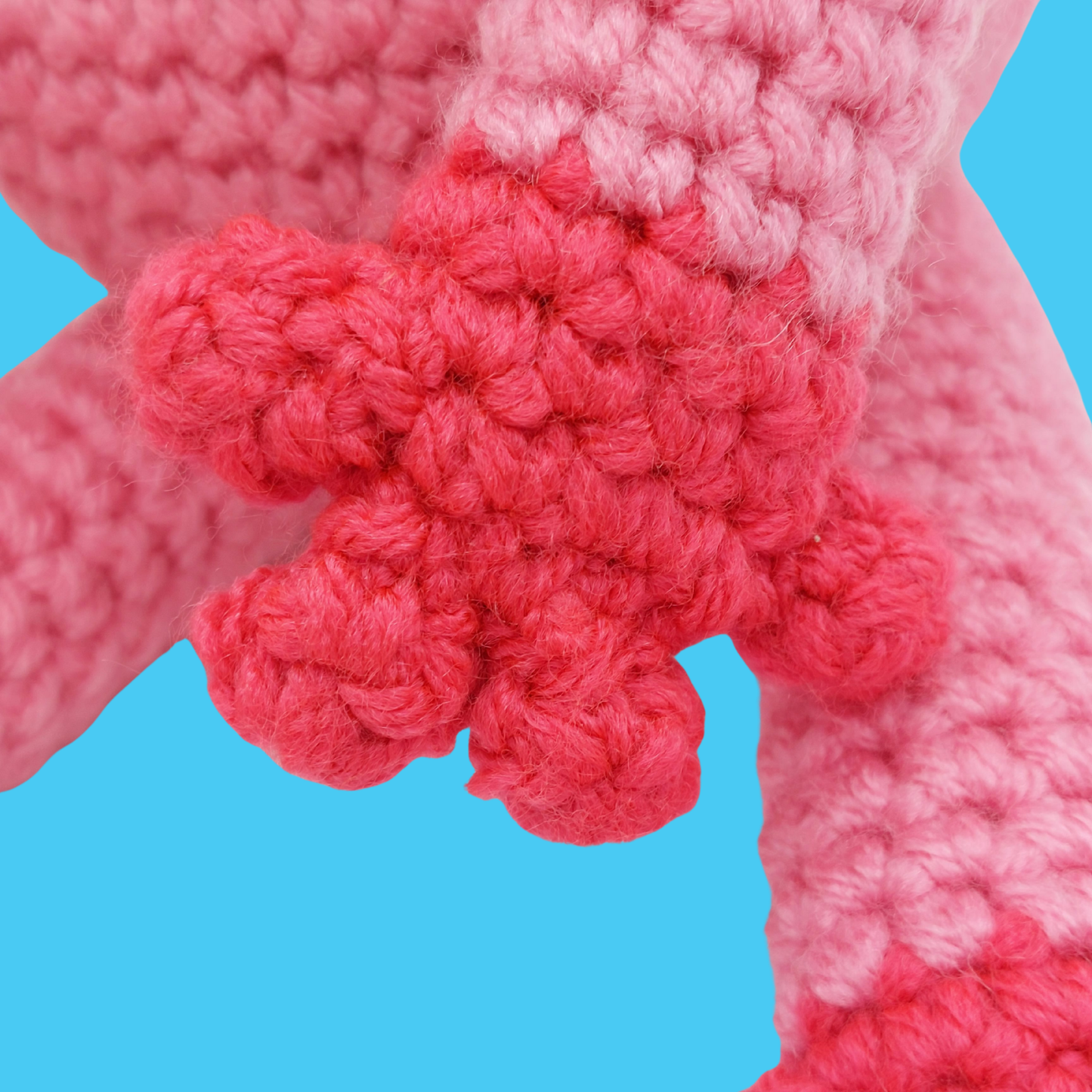 Bubbles and Barnacle the Axolotls - PDF Pattern