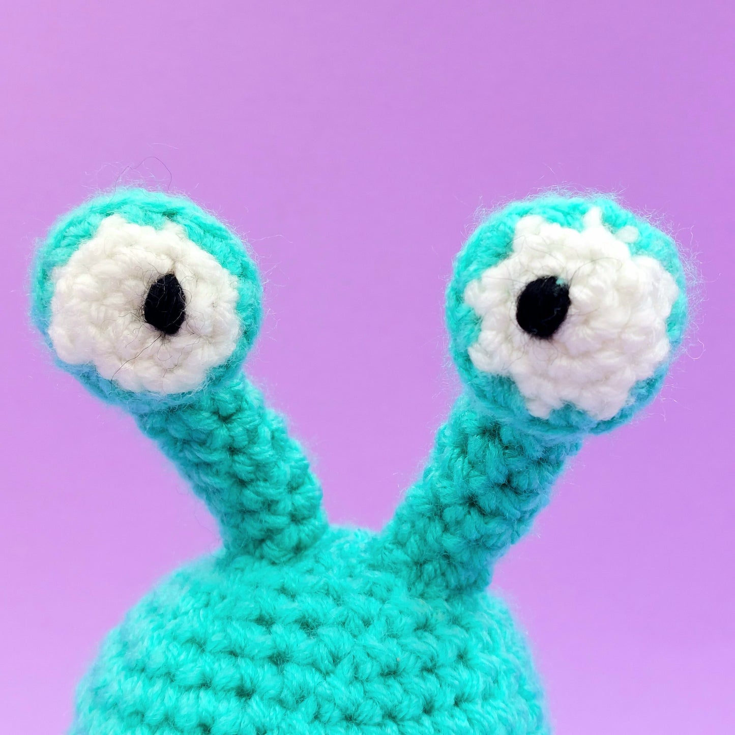 Monty & Myrtle the Monsters Crochet Kit