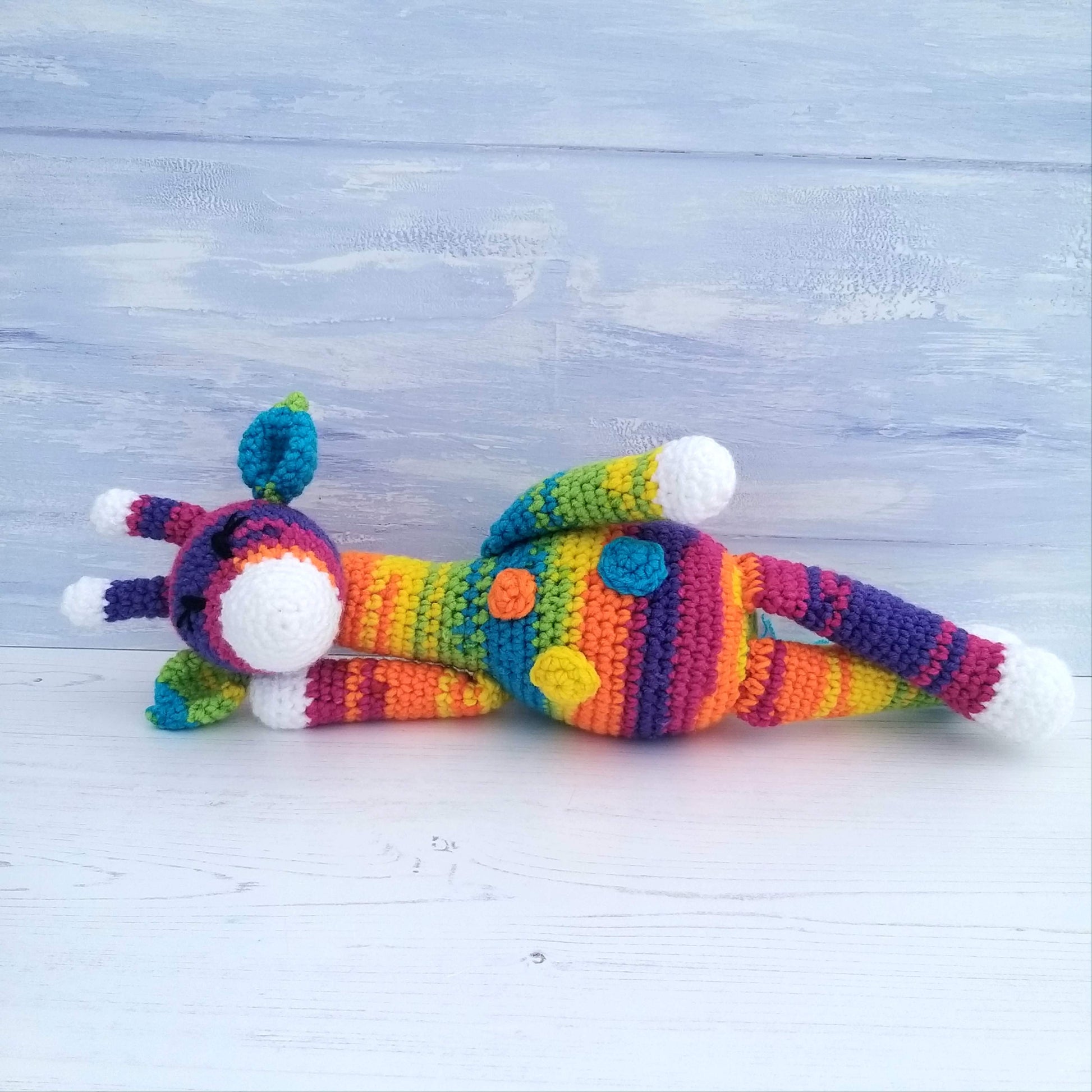 Sherbet the Giraffe having a lie down