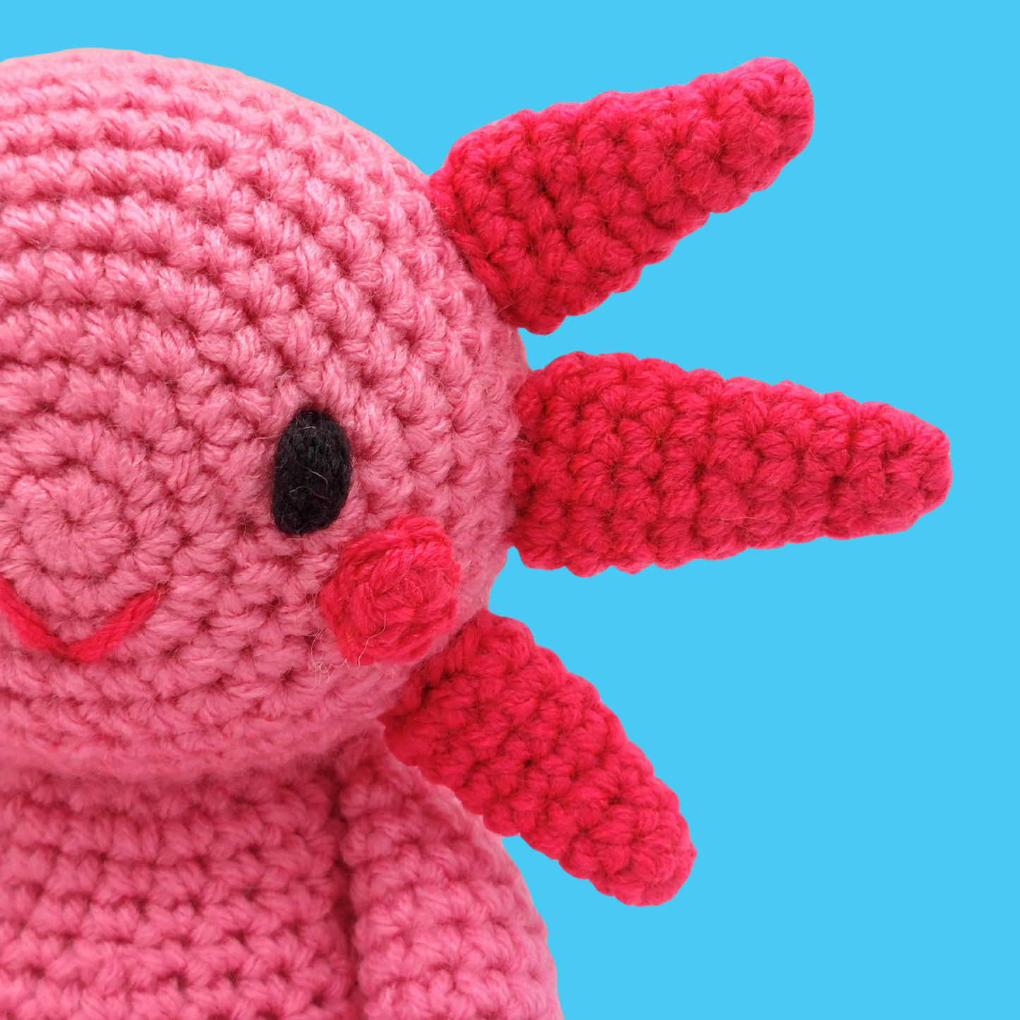 Bubbles and Barnacle the Axolotls - PDF Pattern