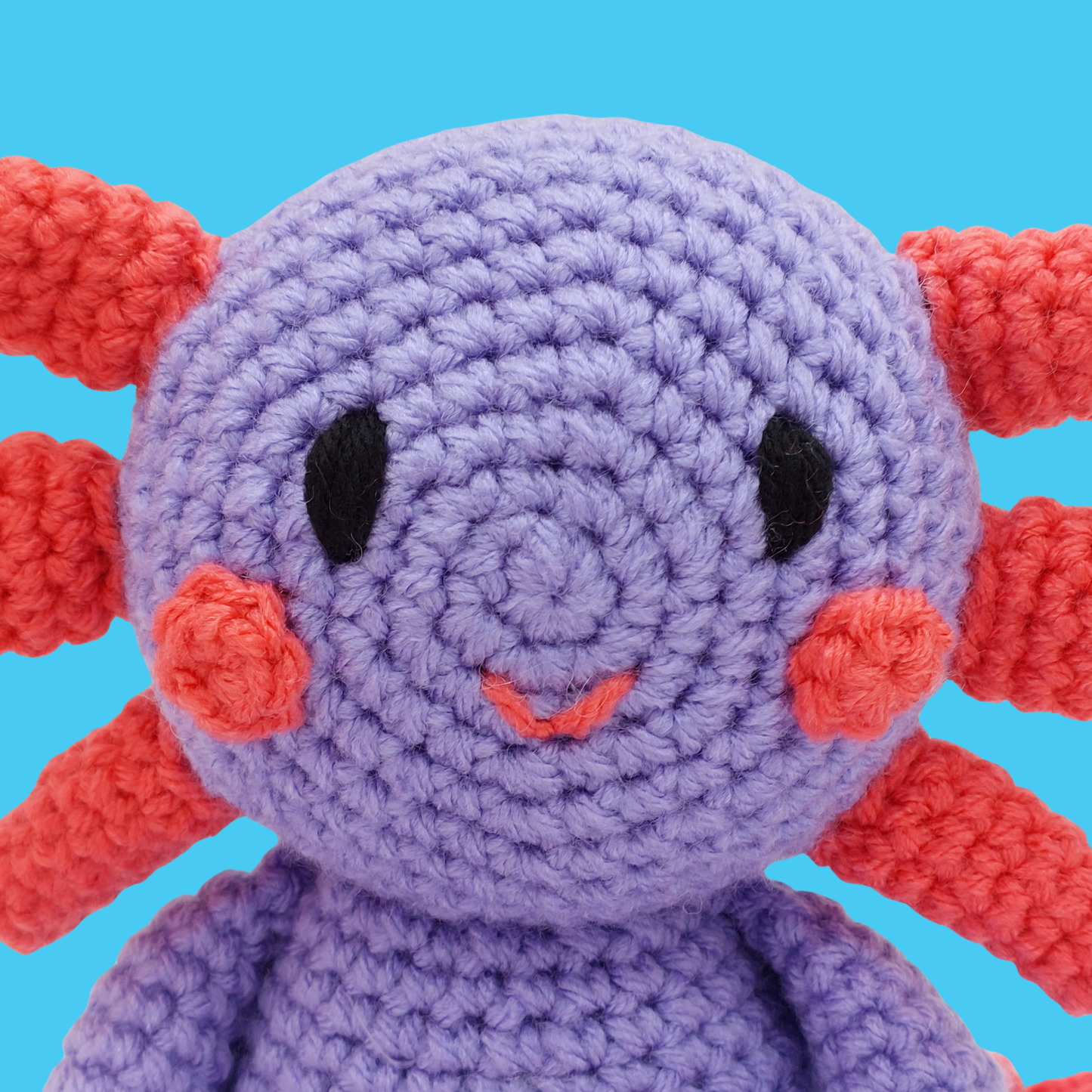 Bubbles and Barnacle the Axolotls - PDF Pattern