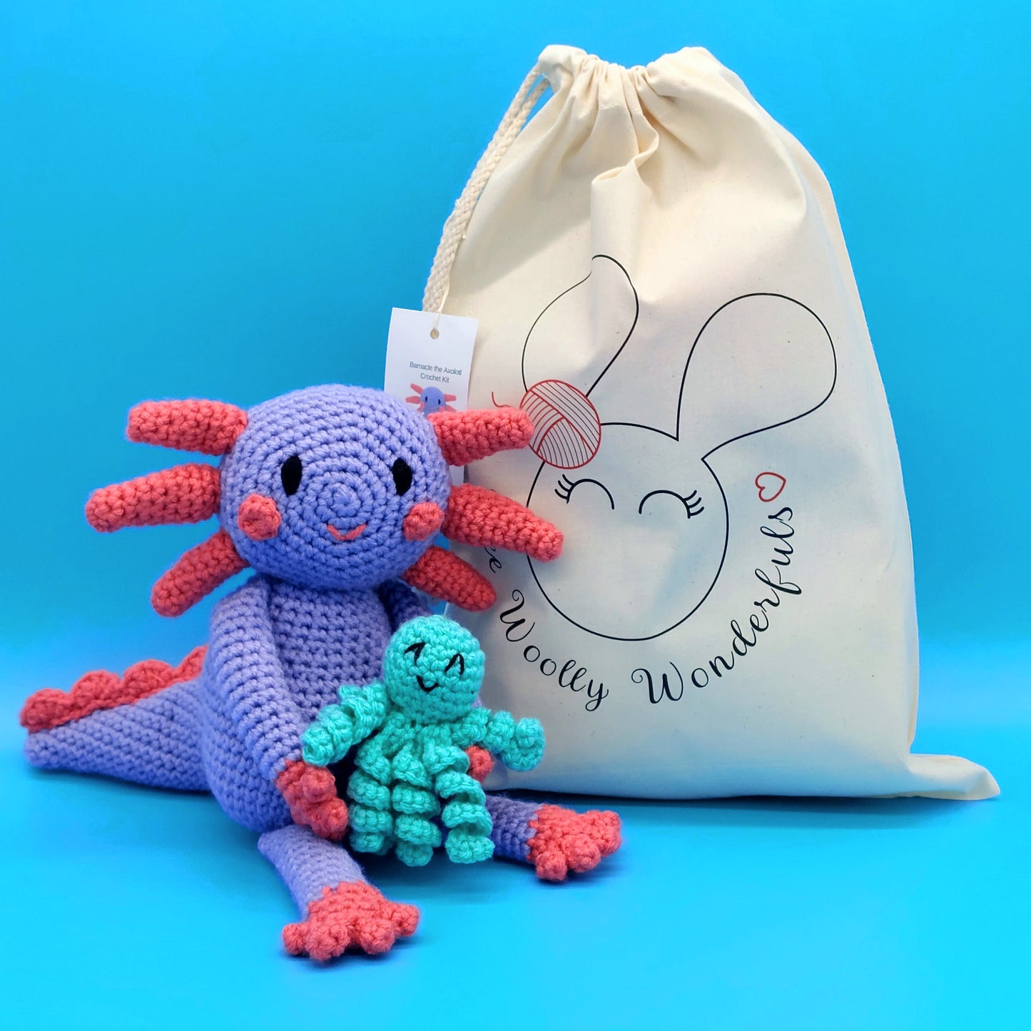 Bubbles and Barnacle the Axolotls Crochet Kit