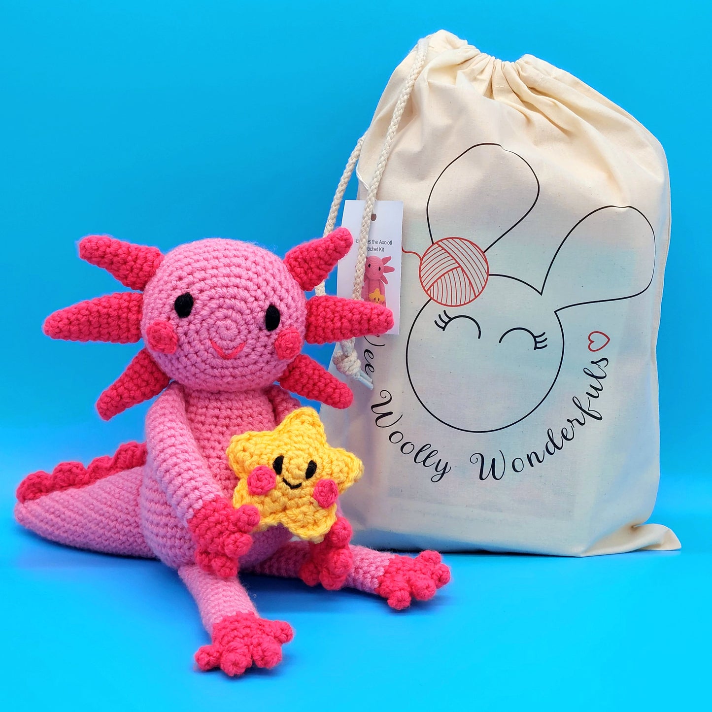 Bubbles and Barnacle the Axolotls Crochet Kit