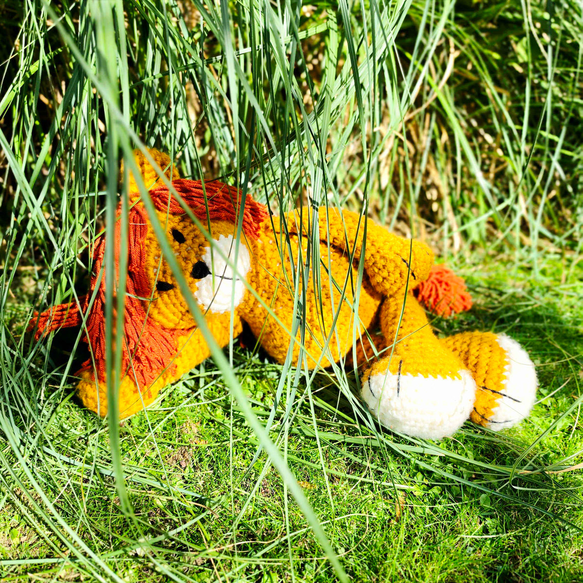 Boris the Lockdown Lion Amendments -  Free PDF Download