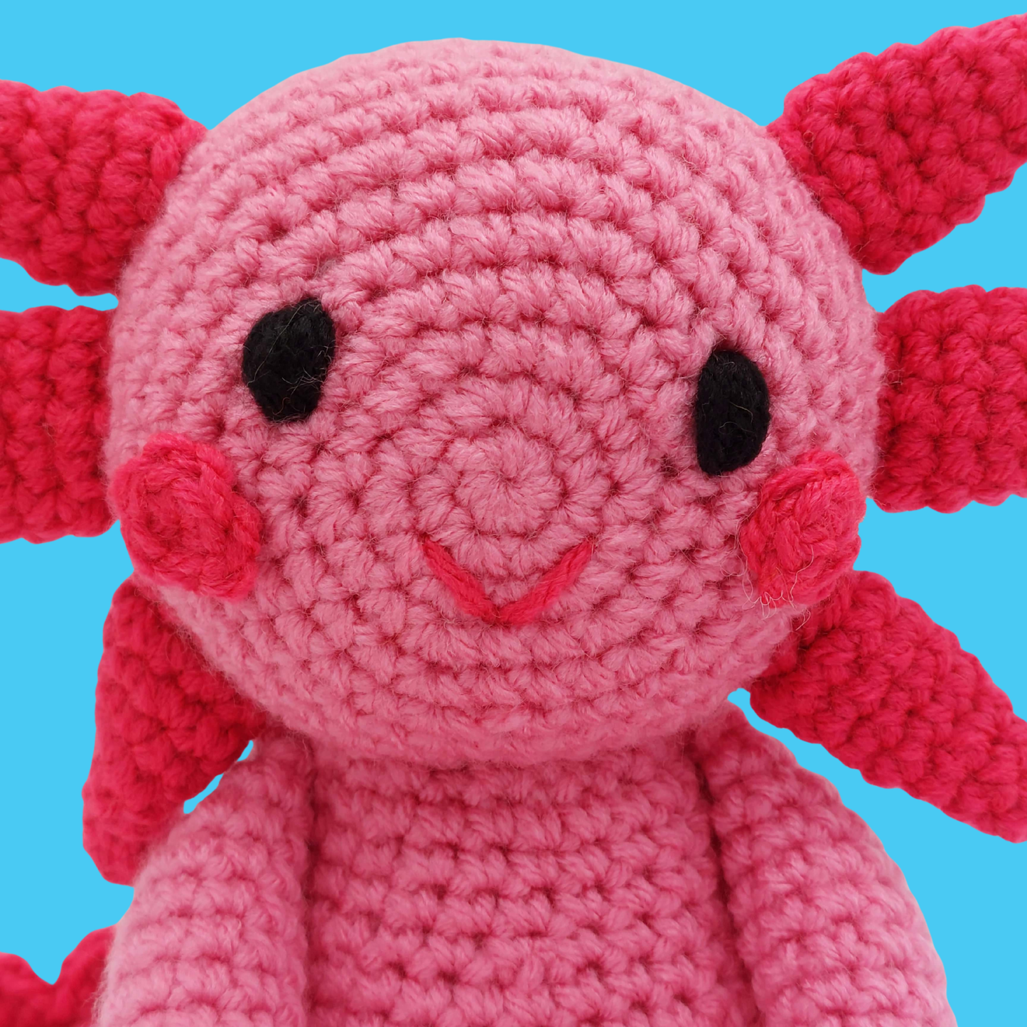 Bubbles and Barnacle the Axolotls - PDF Pattern