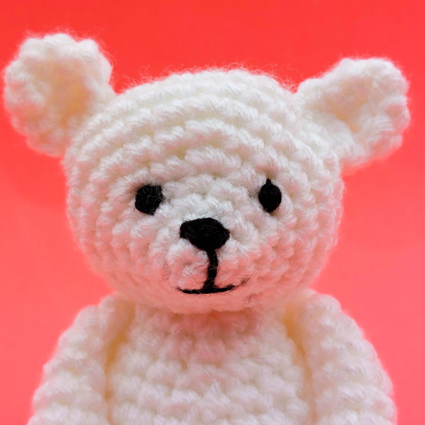 Earth Day Crochet Pattern - Polar Bear