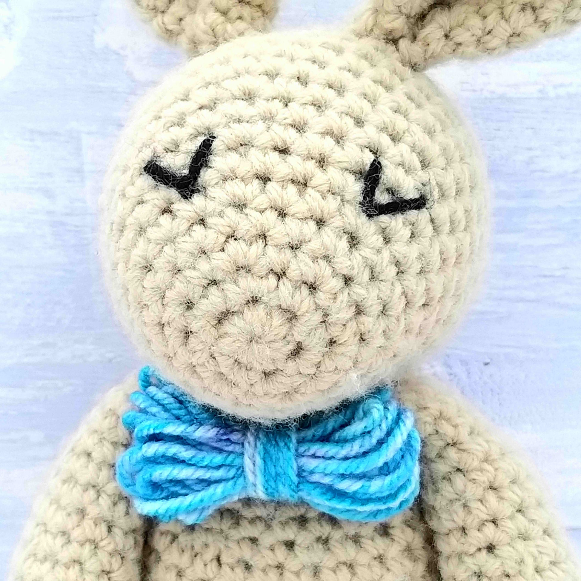 Close up of rabbit's bow tie