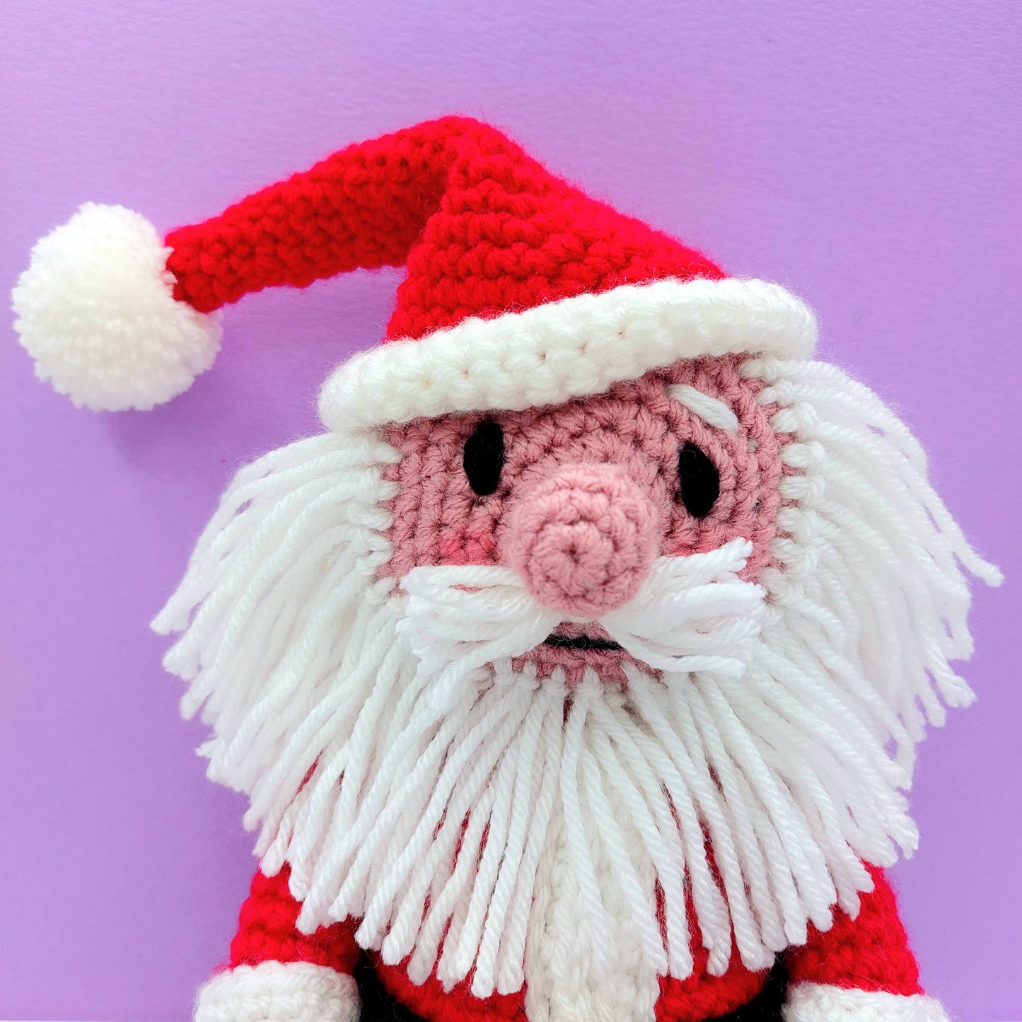 close up of Santa's face